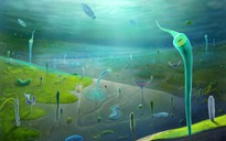 700 sinh vật lạ từ Trung Quốc viết lại lịch sử sự sống