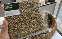 Giá cà phê hôm nay 2-5: Phục hồi nhẹ, Brazil được mùa cỡ nào?