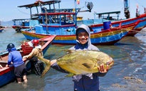 Ngư dân phấn khởi khi trúng đậm “lộc biển”