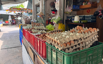 Lao đao vì giá trứng giảm sâu