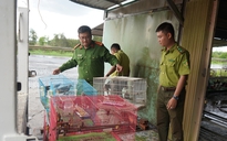 Hình ảnh nuôi nhốt, săn bắt động vật hoang dã trái phép ở Tây Ninh