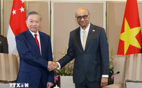Tổng Bí thư, Chủ tịch nước Tô Lâm hội đàm với Tổng thống Singapore