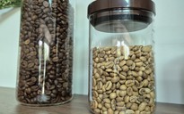 Giá cà phê hôm nay 30-5: Arabica lao dốc, người Việt uống cà phê nhiều hơn