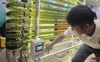 Khởi nghiệp nông nghiệp công nghệ cao không dễ
