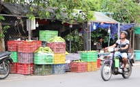 Lòng lề đường bị chiếm trọn ở hai tuyến đường quan trọng phía Tây TPHCM