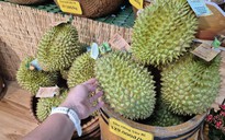 Giá sầu riêng tại vườn “chạm đáy”, vì sao giá bán lẻ vẫn cao?