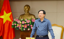 Phó Thủ tướng yêu cầu mở "chiến dịch ngày đêm" làm sạch dữ liệu đất đai