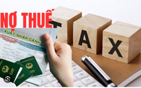 Nhiều cá nhân nợ thuế trên 500 triệu đến 158,9 tỉ đồng