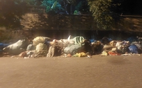 Đà Nẵng: Người dân vừa phản ánh ô nhiễm rác, phường lập tức chấn chỉnh công ty thu gom