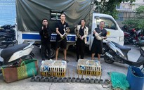 Công an TPHCM tạm giữ 10 người sau khi khám xét bãi xe Trúc Quỳnh