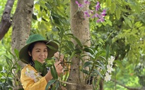 "Hồi sinh" lễ vật thành mầm xanh