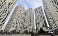 Cái gật đầu trong thang máy