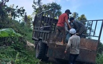 Vây bắt nghi phạm nổ súng giết người trong rừng sâu Gia Lai