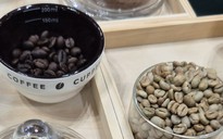 Giá cà phê hôm nay 17-6: Arabica bùng nổ, Robusta nối dài chuỗi tăng