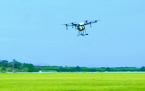 Drone ra đồng, nông dân nhàn hơn