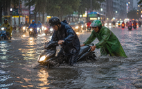 Chút tình của người dưng