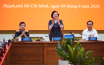 Phó Thủ tướng Phạm Thị Thanh Trà chủ trì hội thảo về mộ liệt sĩ tập thể tại Công viên Lê Thị Riêng