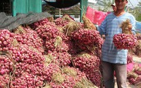 Cấm doanh nghiệp FDI trực tiếp mua nông sản