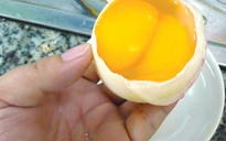 Giải mã “trứng lạ”