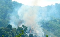 Lo phá rẫy gây cháy rừng
