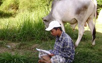 Chăn bò, tự học vẫn thủ khoa