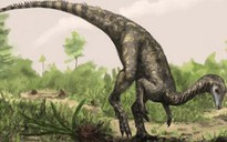 Tìm thấy khủng long cổ xưa nhất trái đất