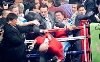 Chụp hình võ sĩ knock-out, nhà báo bị hành hung