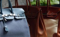 Trộm khoắng hàng chục túi hiệu Hermes