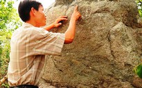 Hòn đá khắc chữ cổ ở Gia Lai lại gây chú ý
