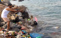 Dân đảo Lý Sơn đổ rác thải xuống biển