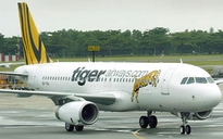 Phạt nữ hành khách hút thuốc trên máy bay Tiger Airways