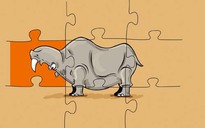 “Miếng ghép ngược” đoạt giải nhất Biếm họa báo chí