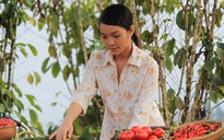 Hồng Kim Hạnh tái xuất hình ảnh gái quê