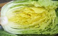 Nhật Bản: 6 người chết vì ăn dưa cải thảo nhiễm khuẩn