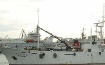 Cháy tàu cá Hàn trên biển Hoa Đông, 3 người chết