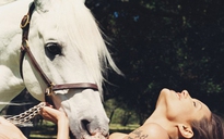 Ảnh ngực trần với ngựa của Angelina Jolie giá cao ngất