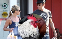 Justin Theroux và Jennifer Aniston mua nhà vì... gà