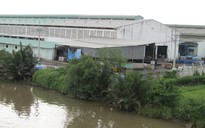 Hào Dương thách thức pháp luật