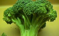 Ăn nhiều rau xanh để phòng bệnh Parkinson