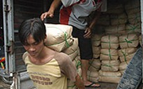 Thị trường đường vẫn còn bất ổn