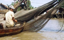 Đi qua vùng nước nổi