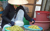 Nỗi niềm đê bao chống lũ