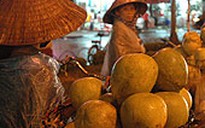 Cuốn sổ không gây phiền hà gì cho ai