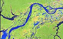 Sông Amazon đã từng thay đổi dòng chảy
