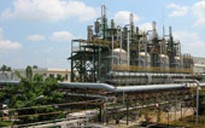 Dán nhãn xanh để vào thị trường thế giới