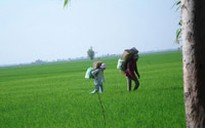 Vào lãnh địa hàng lậu chợ Gò