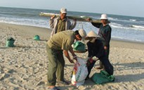 Phát hiện 4 vệt dầu loang lớn ngoài khơi VN