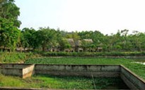 Bài 1: Đất rừng chỉ còn… trên giấy!