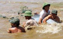 Thanh Hóa: Thả cá heo trắng về biển