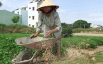 Thu hồi đất để...“treo”